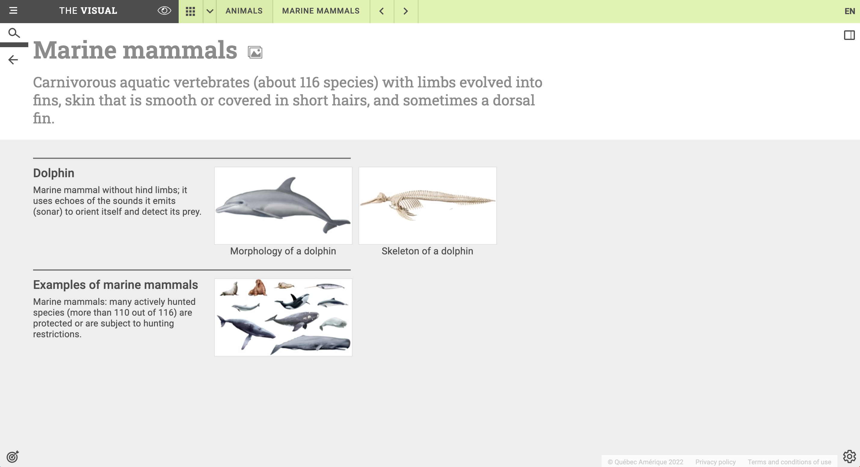 Screenshot of The Visual: marine mammals.