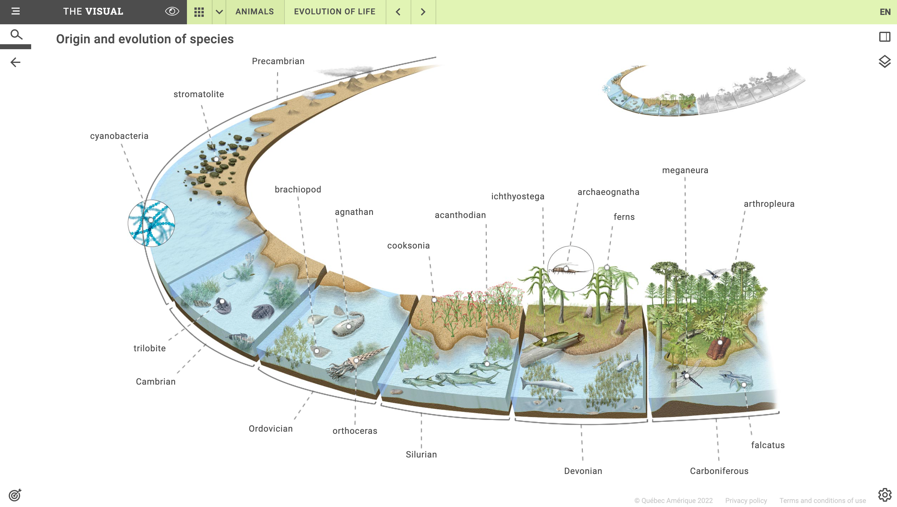 origin and evolution of species